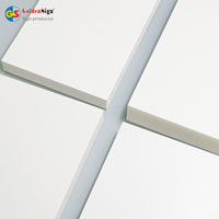 GOLDENSIGN 1220X2440MM BANDE PVC EXPANDÉ PVC POUR L'ARMABLET ET SALAGE