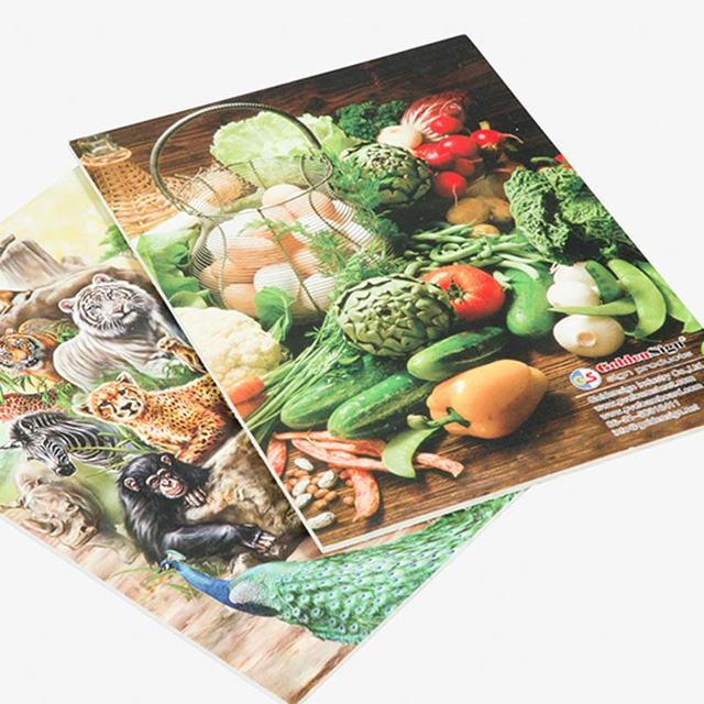 panneau de mousse sans PVC 2